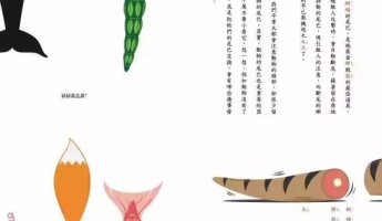 給小孩子看的書就不要那么嚴肅啦