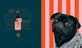 寵物中心品牌設計賞析——House of Paws